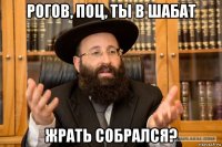 рогов, поц, ты в шабат жрать собрался?