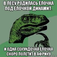 в лесу родилась ёлочка под ёлочкой динамит. и одна секундочка ёлочка скоро полетит в африку