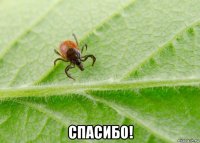  спасибо!