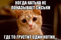 когда катька не показывает сиськи где то грустит один котик...