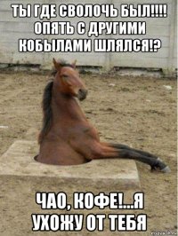 ты где сволочь был!!!! опять с другими кобылами шлялся!? чао, кофе!…я ухожу от тебя
