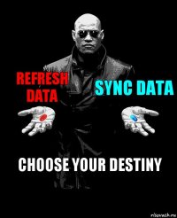 Refresh Data Sync Data Choose your destiny