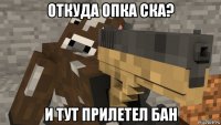 откуда опка ска? и тут прилетел бан