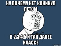 ну почему нет коникул летом в 2,3,4,5 и так далее классе