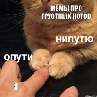 Мемы про грустных котов я