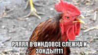  ряяяя в виндовсе слежка и зонды!!11