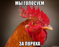 мы голосуем за пороха