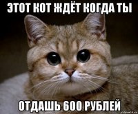 этот кот ждёт когда ты отдашь 600 рублей
