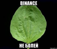 binance не болей