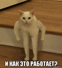  и как это работает?