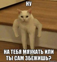 ну на тебя мяукать или ты сам збежишь?