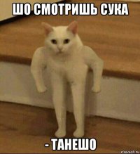 шо смотришь сука - танешо