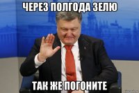 через полгода зелю так же погоните
