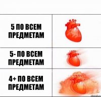 5 по всем предметам 5- по всем предметам 4+ по всем предметам