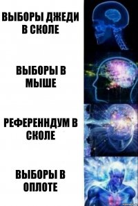 Выборы джеди в сколе Выборы в мыше Референндум в сколе ВЫБОРЫ В ОПЛОТЕ