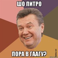 шо питро пора в гаагу?