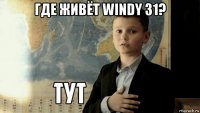 где живёт windy 31? 