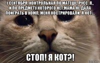 1 сентября, контрольная по матеше, русс. я., и по предмету которого нет,мама не дала поиграть в комп, меня кострировали, я кот.... стоп! я кот?!