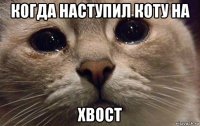 когда наступил коту на хвост