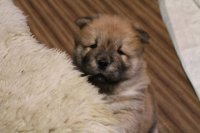 Создать мем Думаете спрятались Сейчас запрыгну сейчас залезу