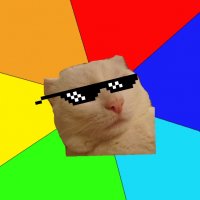 Создать мем Крутой котэ