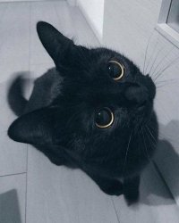 Создать мем Лииил
