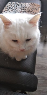 Создать мем Н