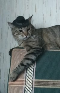 Создать мем Оаоа