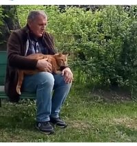 Создать мем Шум