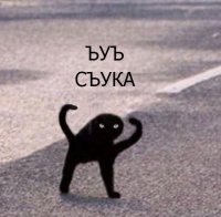 я: беру еду с пола за 4.99 секунды бактерия:, Мем Ъуъ