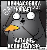 ирина собаку купает а ты че испачкался?