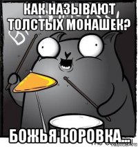 как называют толстых монашек? божья коровка...