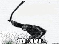  тод говард