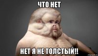 что нет нет я не толстый!!