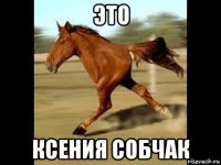 это ксения собчак