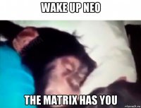 wake up neo the matrix has you