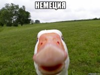 немеция 