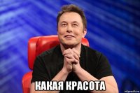  какая красота