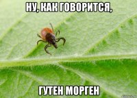 ну, как говорится, гутен морген