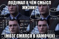 подумал в чём смысл жизни? (мозг смялся в камочек)