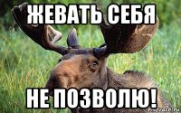 жевать себя не позволю!