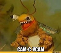  сам-с-усам
