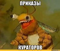 приказы кураторов