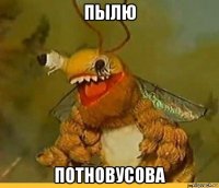 пылю потновусова