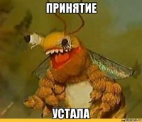 принятие устала
