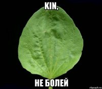 kin, не болей
