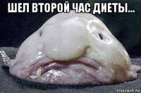 шел второй час диеты... 