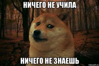 ничего не учила ничего не знаешь