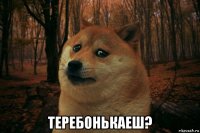  теребонькаеш?