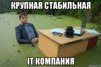 крупная стабильная it компания